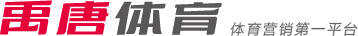 球队的整体